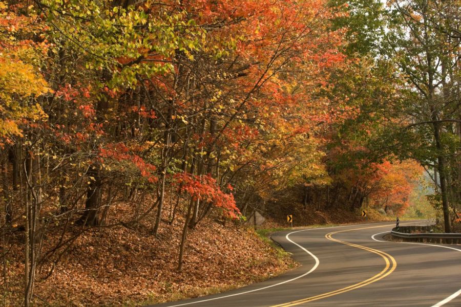 Dove andare in autunno: 15 destinazioni che ti faranno innamorare