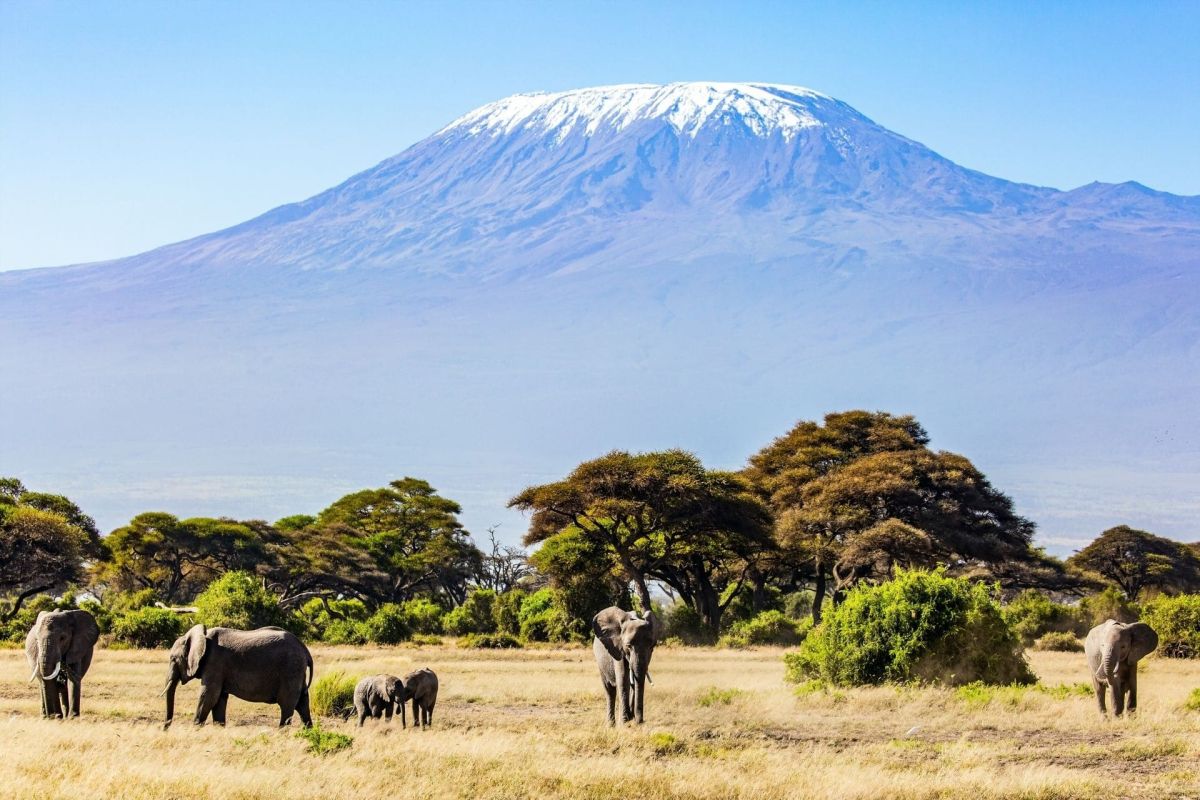 Alla scoperta del Kenya: dai grandi parchi al Kilimanjaro - Smeraldo Viaggi