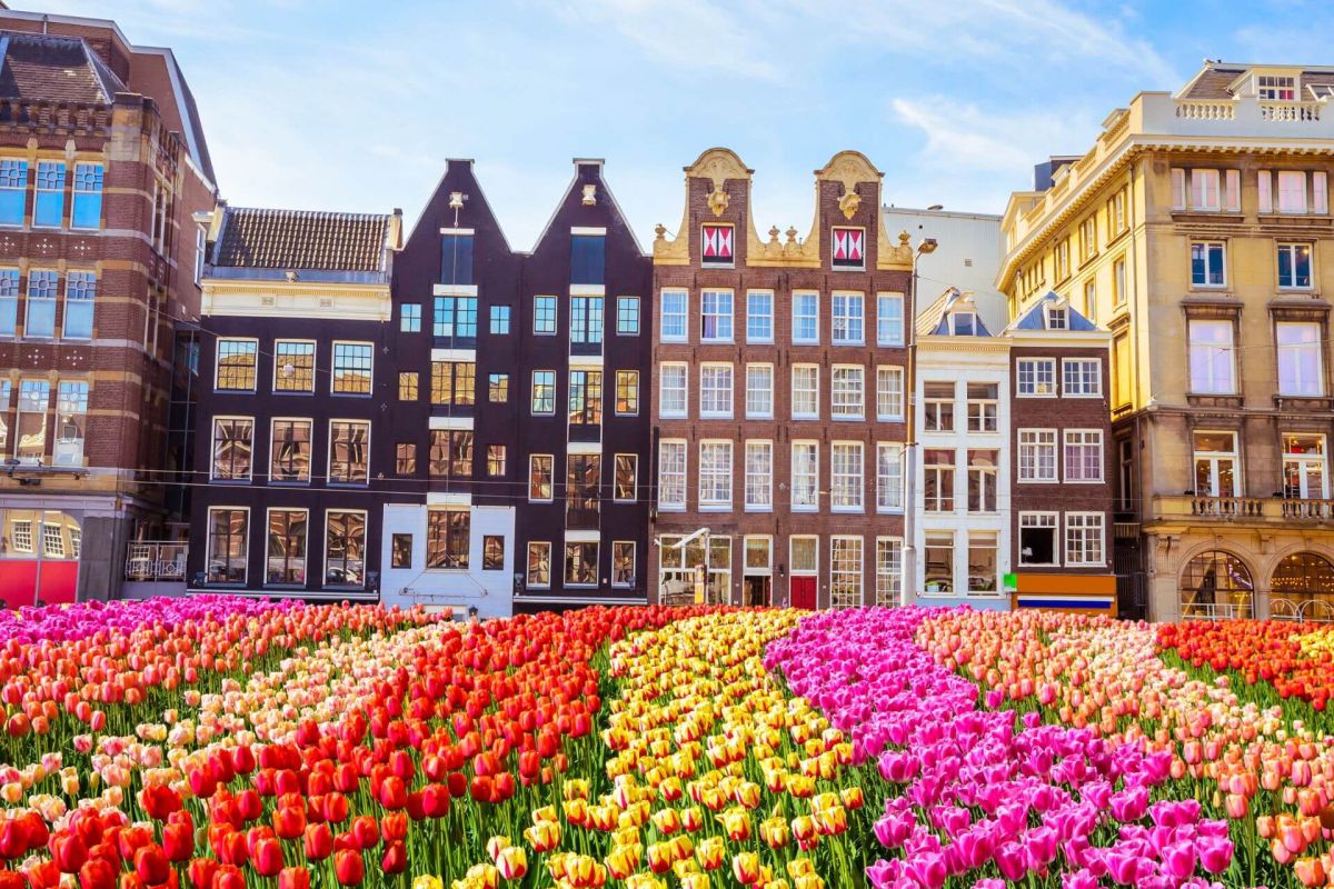 Amsterdam e i suoi dintorni: un viaggio tra storia e natura - Smeraldo Viaggi