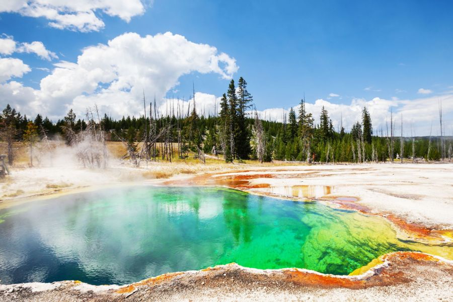 Sulle orme del West: viaggio nelle terre selvagge