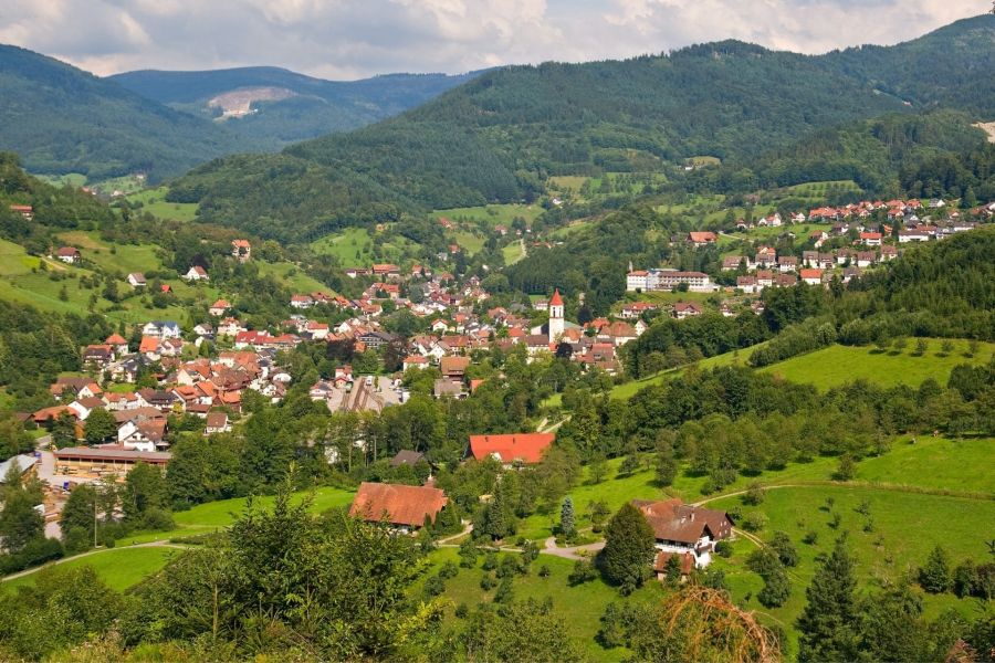 Tour della Foresta Nera, Alsazia e Svizzera [1]